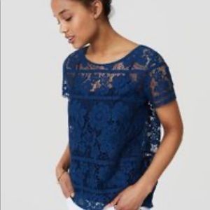 Loft Lace Top **never worn**